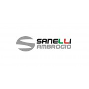 Sanelli Ambrogio